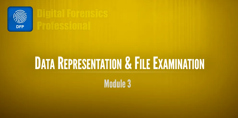 Data representation and File Examination