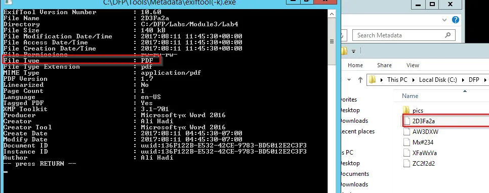 Lab 4: Extracting Metadata from Documents